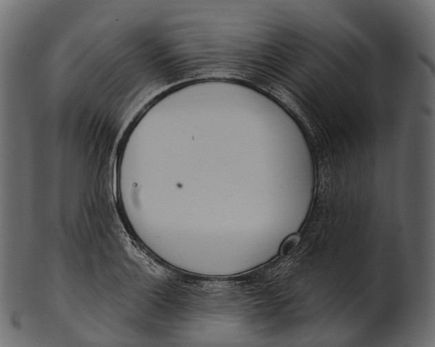 X0000100501132200807031934