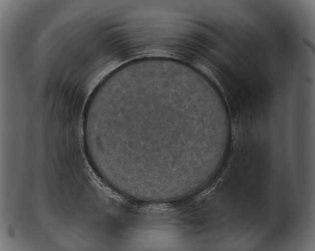 X0000100501133200807031934