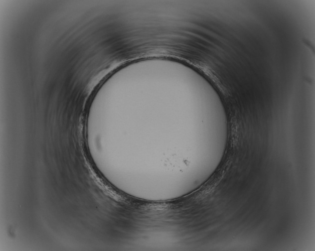 X0000100501134200807031934