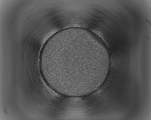 X0000100501135200807031934