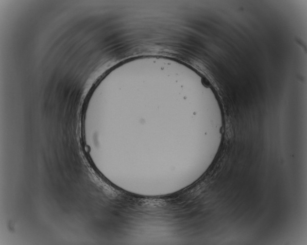 X0000100501136200807031934