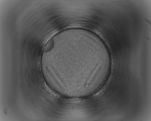 X0000100501137200807031934