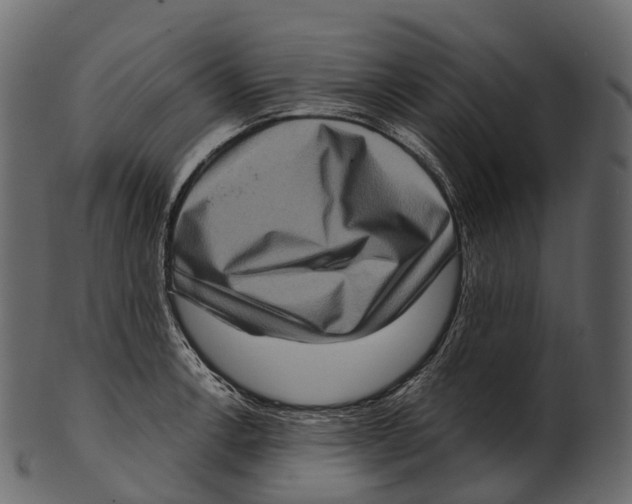 X0000100501138200807031934