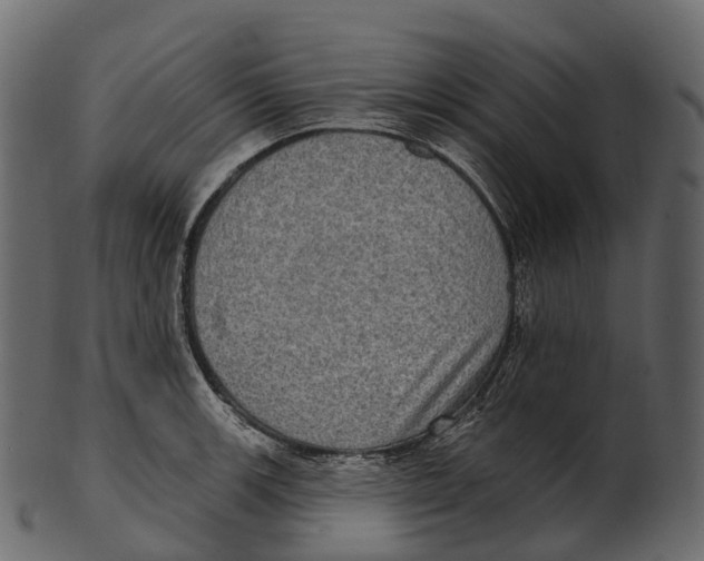 X0000100501139200807031934