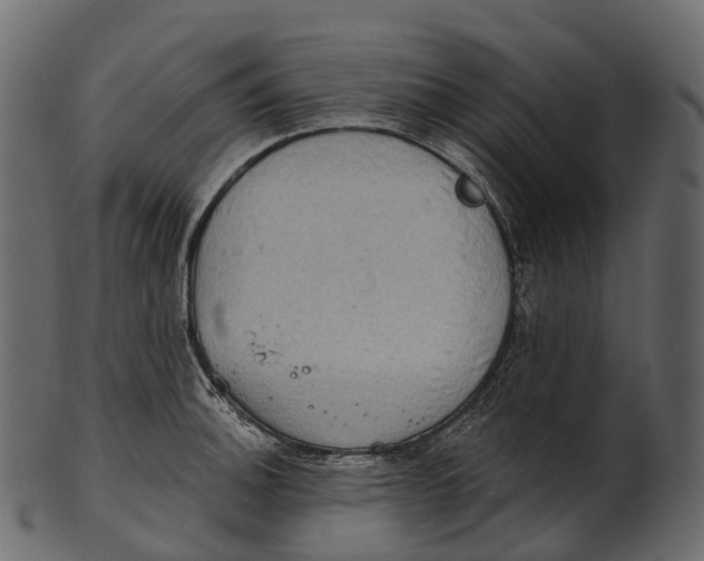 X0000100501140200807031934