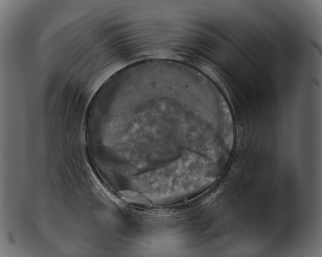 X0000100501141200807031934