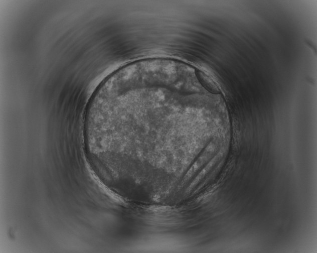 X0000100501142200807031934