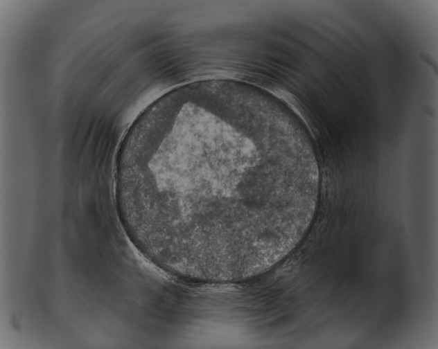 X0000100501143200807031934