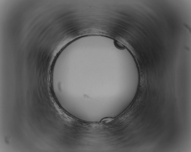 X0000100501144200807031934