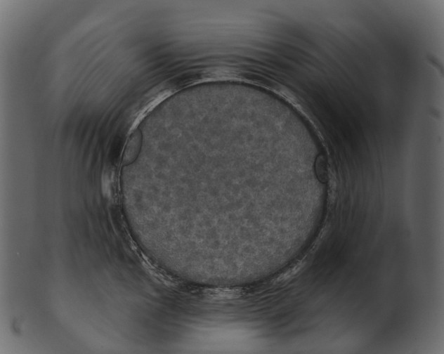 X0000100501145200807031934