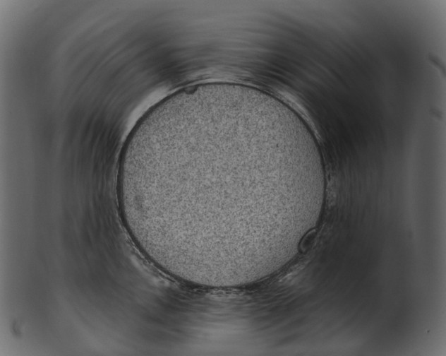 X0000100501146200807031934