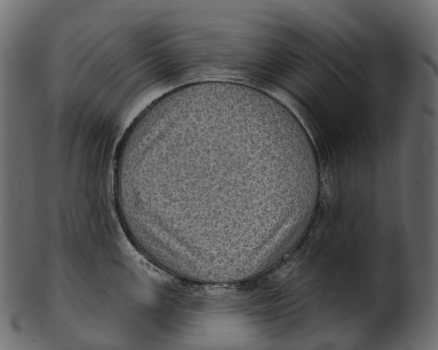 X0000100501147200807031934