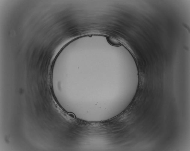 X0000100501148200807031934