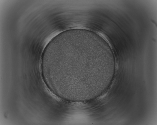 X0000100501149200807031935