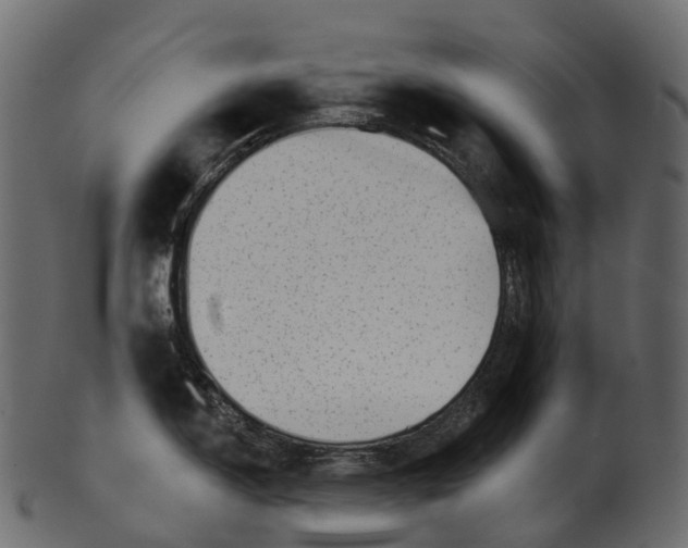 X0000100501150200807031935