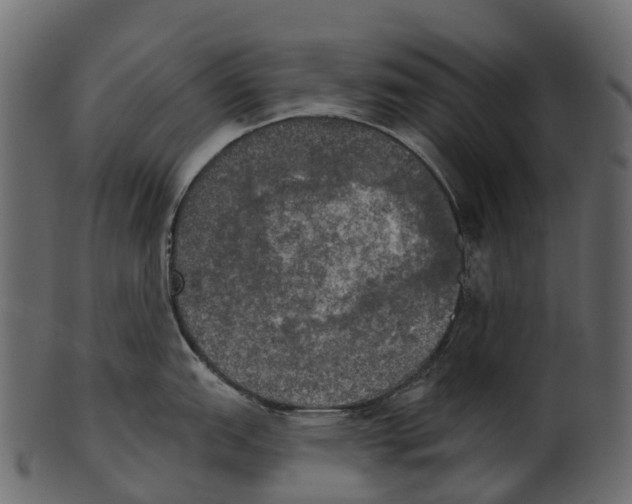 X0000100501151200807031935