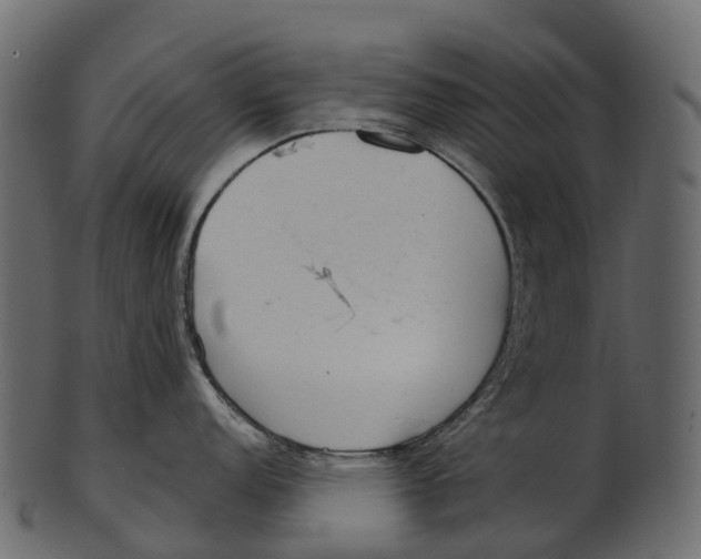 X0000100501152200807031935