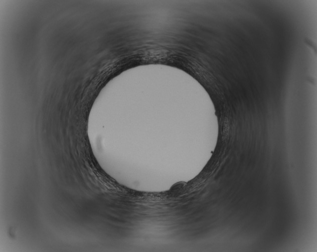 X0000100501153200807031934