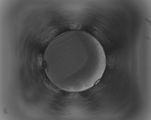 X0000100501154200807031933