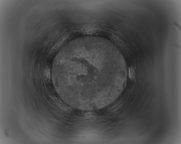 X0000100501155200807031933