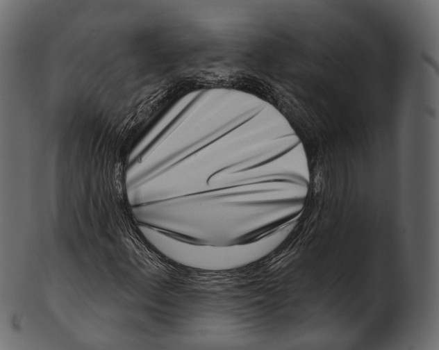 X0000100501156200807031933