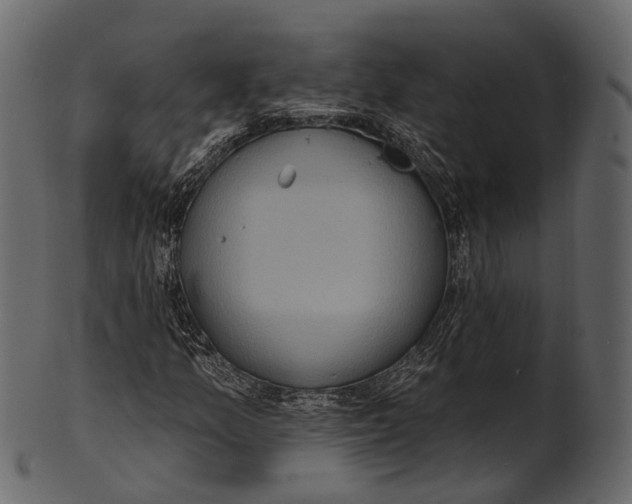 X0000100501157200807031933