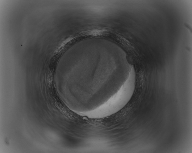 X0000100501158200807031933