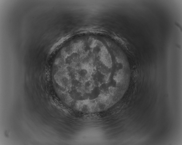 X0000100501159200807031933