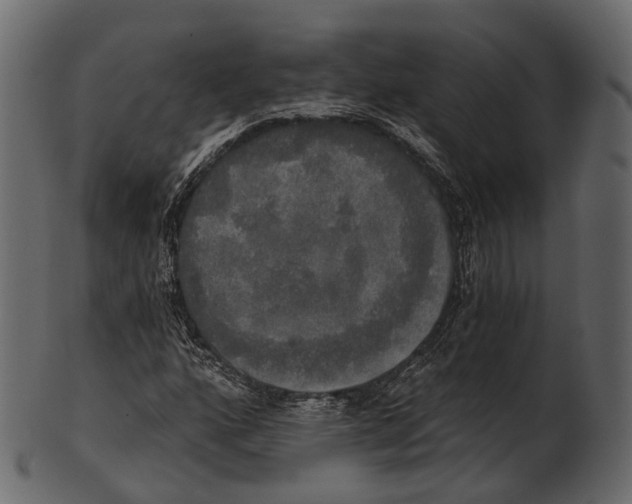 X0000100501160200807031933