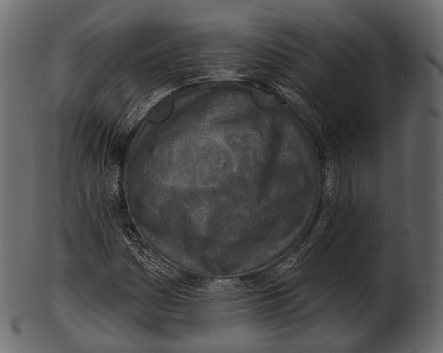 X0000100501161200807031933