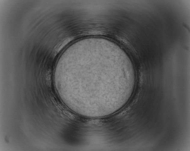 X0000100501162200807031933