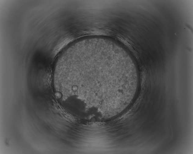 X0000100501163200807031933