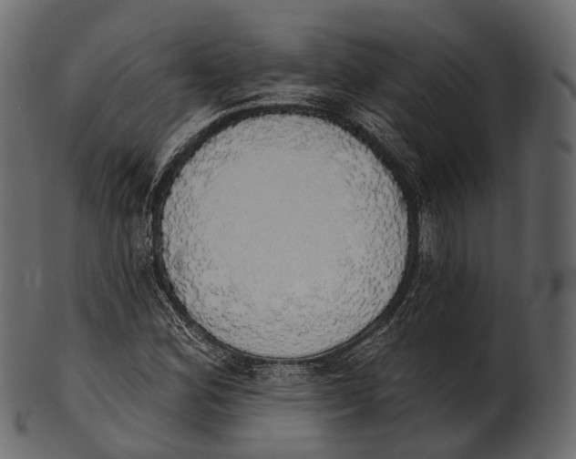 X0000100501164200807031933