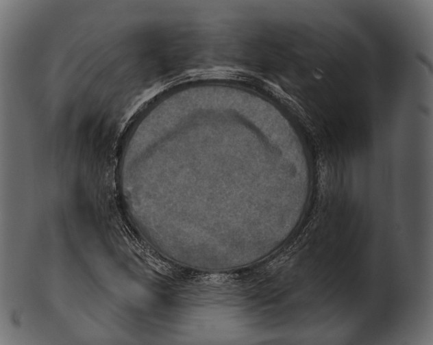 X0000100501166200807031933