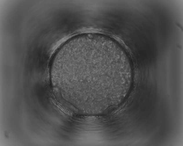 X0000100501167200807031933