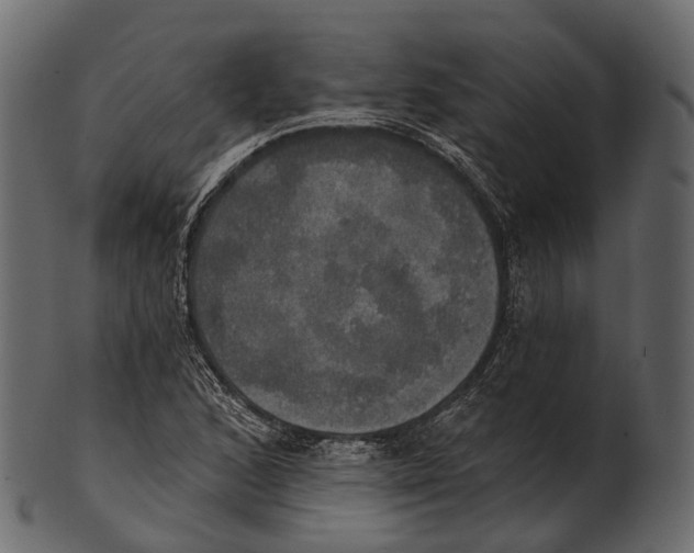 X0000100501168200807031933