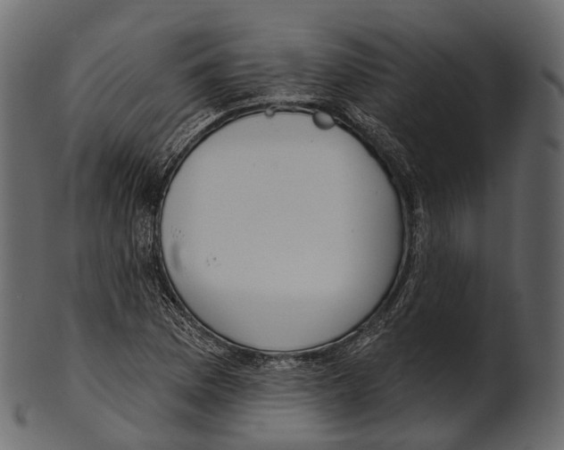 X0000100501169200807031933