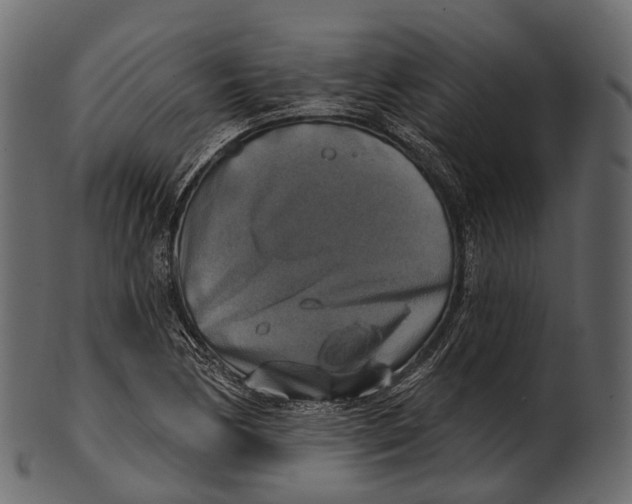 X0000100501170200807031933