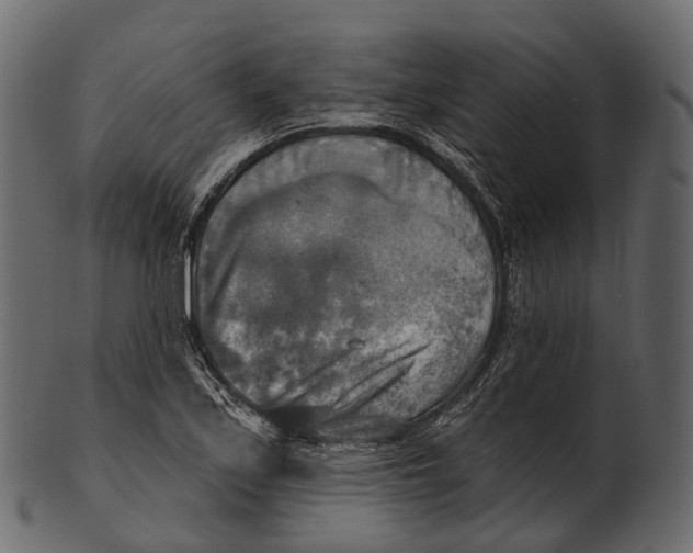 X0000100501171200807031933