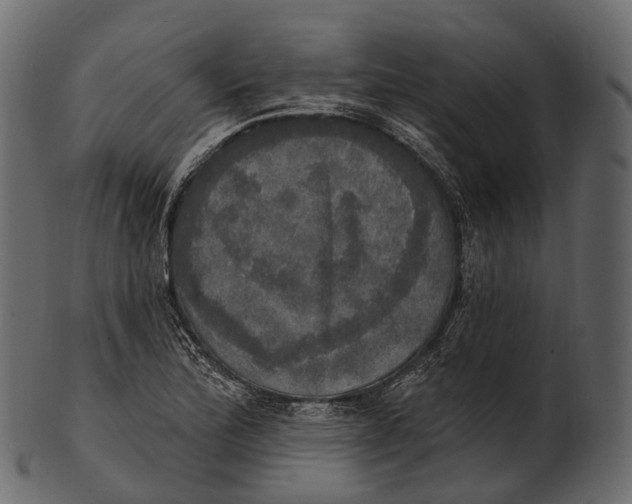 X0000100501172200807031933