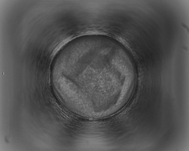 X0000100501173200807031933