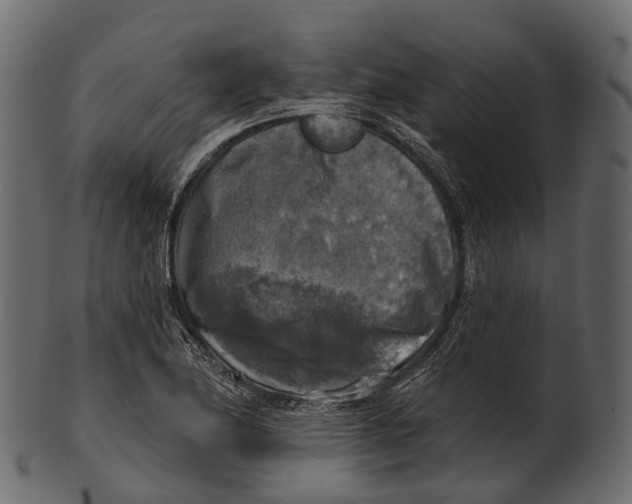 X0000100501174200807031933