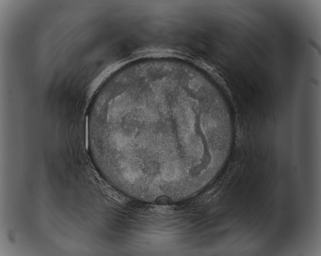 X0000100501175200807031933