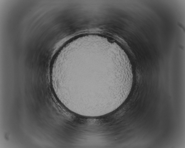 X0000100501176200807031933