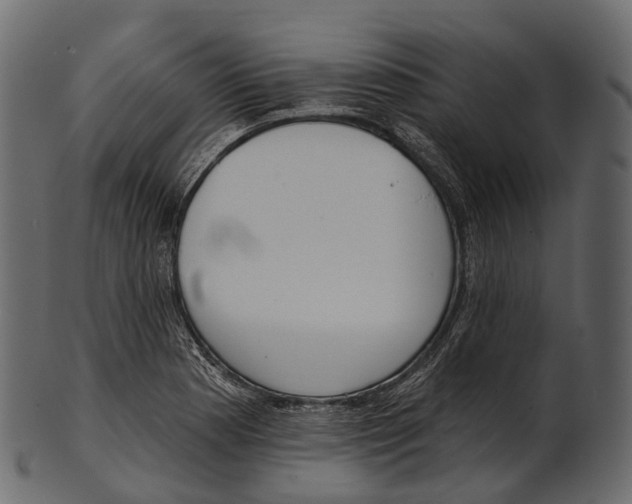 X0000100501177200807031933