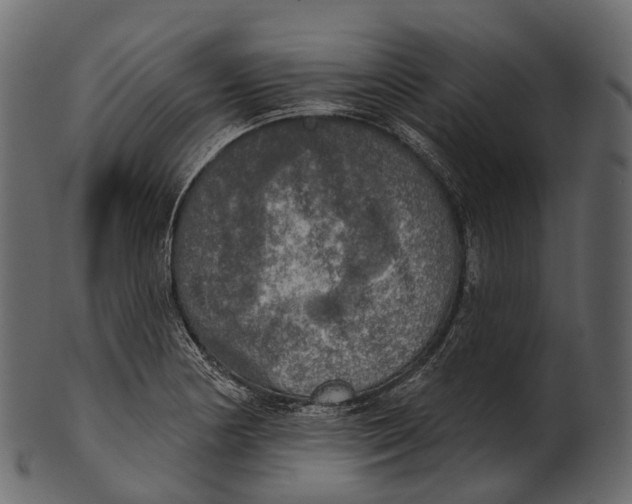 X0000100501178200807031933