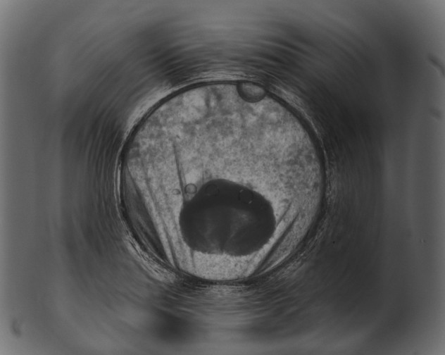 X0000100501179200807031933