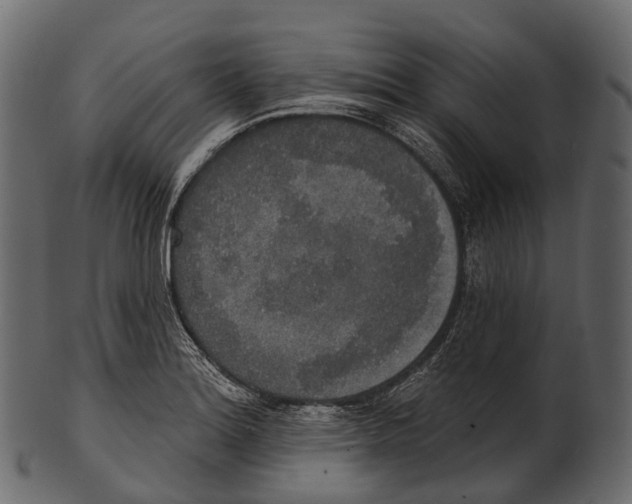 X0000100501180200807031933