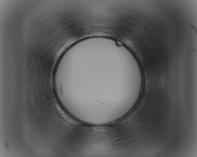 X0000100501181200807031933