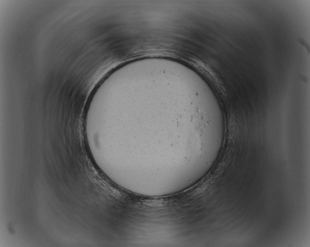 X0000100501182200807031933